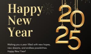 happy-new-year-safeshop